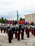 IMG_6817