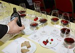 IMG_4435