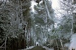 IMG_2219