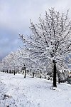 IMG_2162