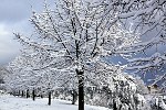 IMG_2163