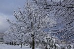 IMG_2165