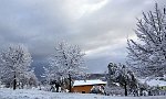 IMG_2168