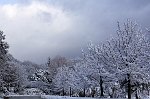 IMG_2169