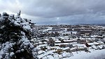 IMG_2170