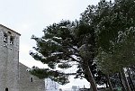 IMG_2171