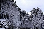 IMG_2172