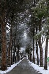 IMG_2173