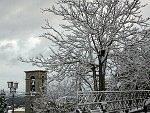 IMG_2175