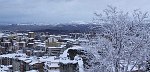 IMG_2177