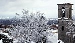 IMG_2179