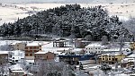 IMG_2184