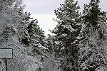 IMG_2185