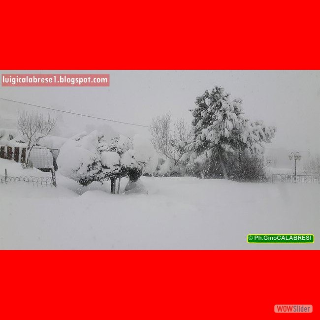 Campobasso, gennaio 2017 (1)