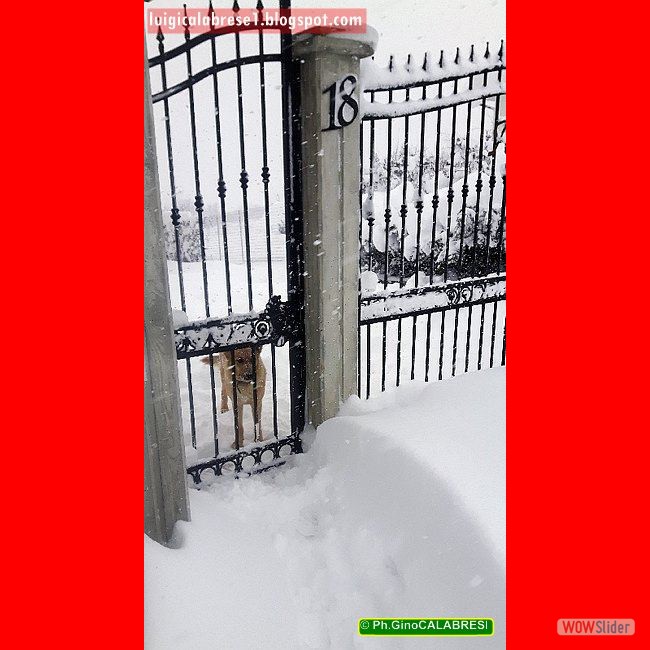 Campobasso, gennaio 2017 (100)