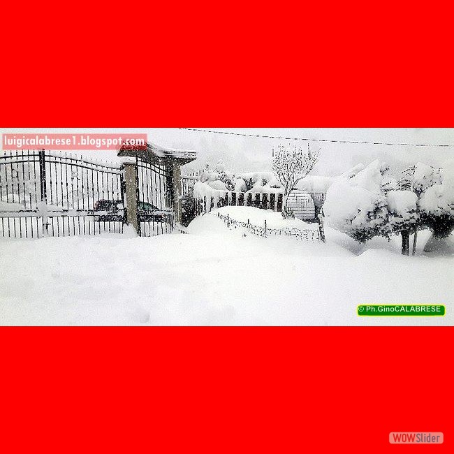 Campobasso, gennaio 2017 (12)