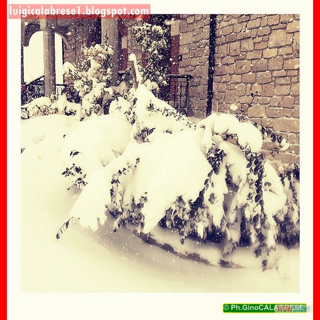 Campobasso, gennaio 2017 (23)