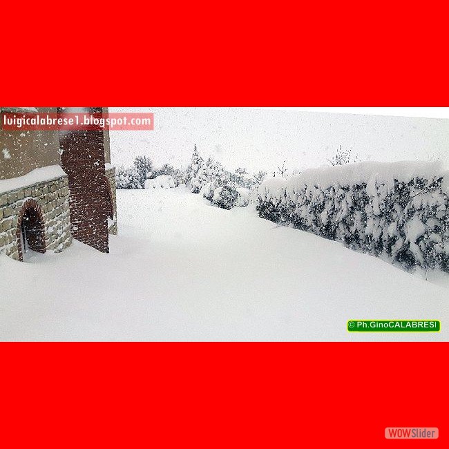 Campobasso, gennaio 2017 (34)