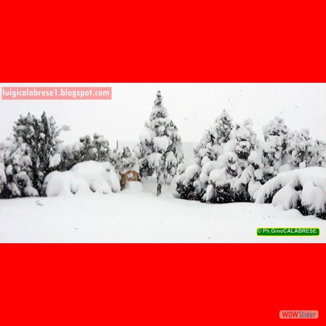 Campobasso, gennaio 2017 (45)