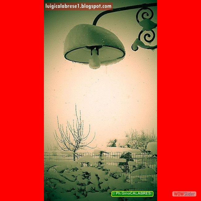 Campobasso, gennaio 2017 (56)