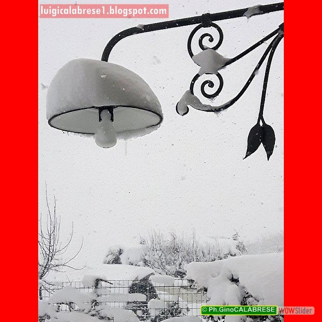 Campobasso, gennaio 2017 (67)