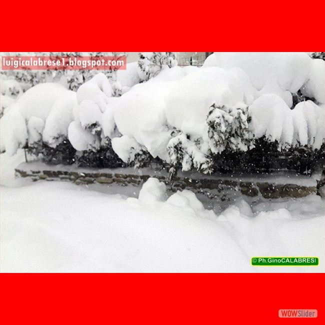 Campobasso, gennaio 2017 (78)