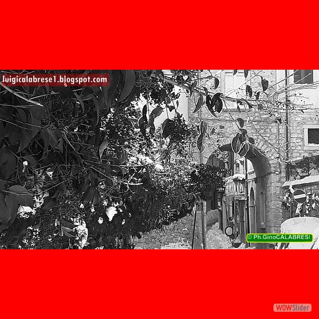 Campobasso, gennaio 2017 (79)