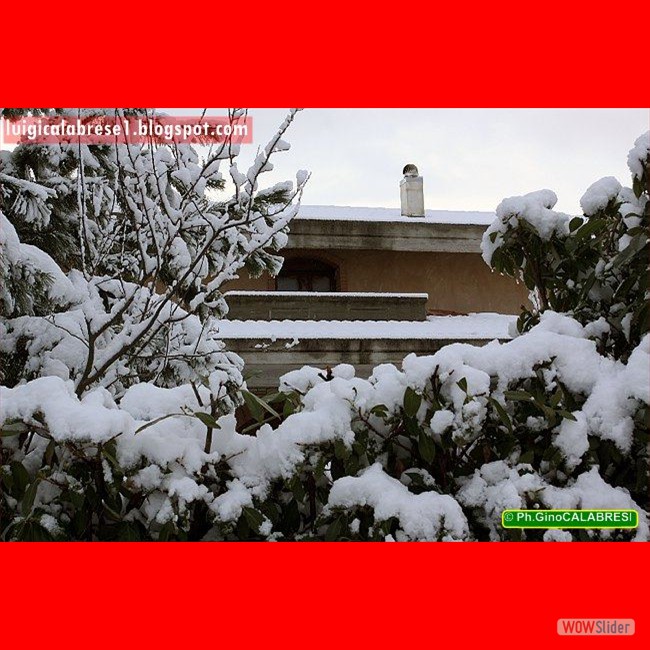 Campobasso, gennaio 2017 (109)