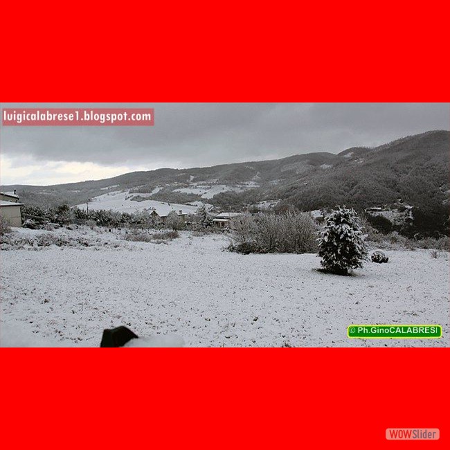 Campobasso, gennaio 2017 (110)