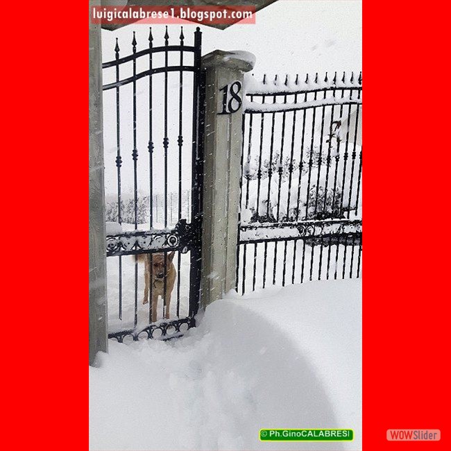 Campobasso, gennaio 2017 (112)