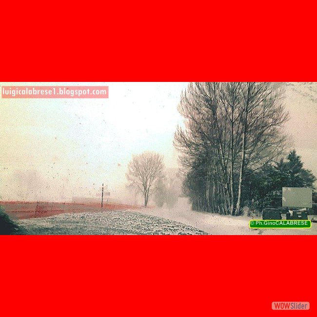 Campobasso, gennaio 2017 (113)