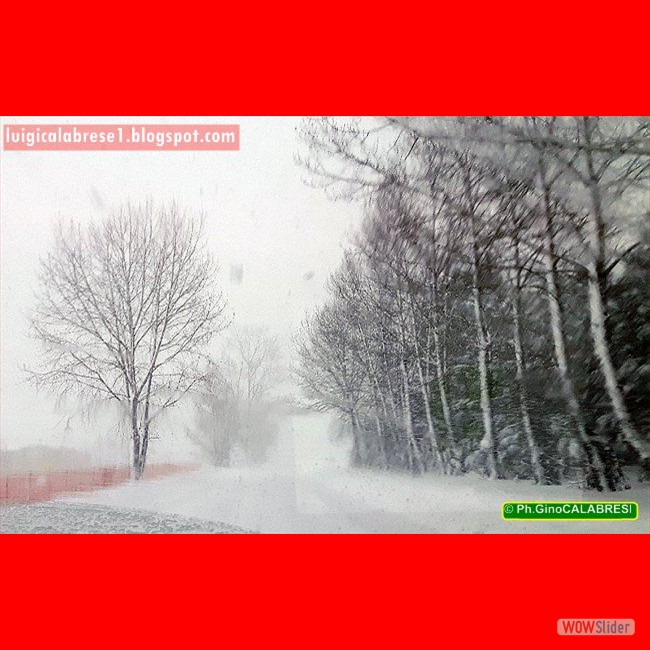 Campobasso, gennaio 2017 (114)