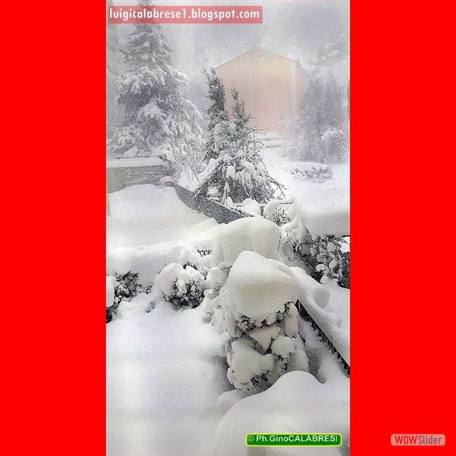 Campobasso, gennaio 2017 (117)