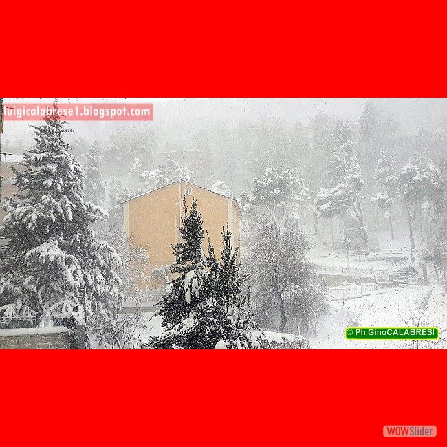 Campobasso, gennaio 2017 (122)