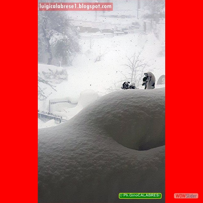 Campobasso, gennaio 2017 (123)