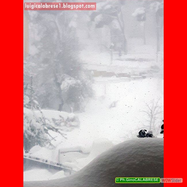 Campobasso, gennaio 2017 (124)