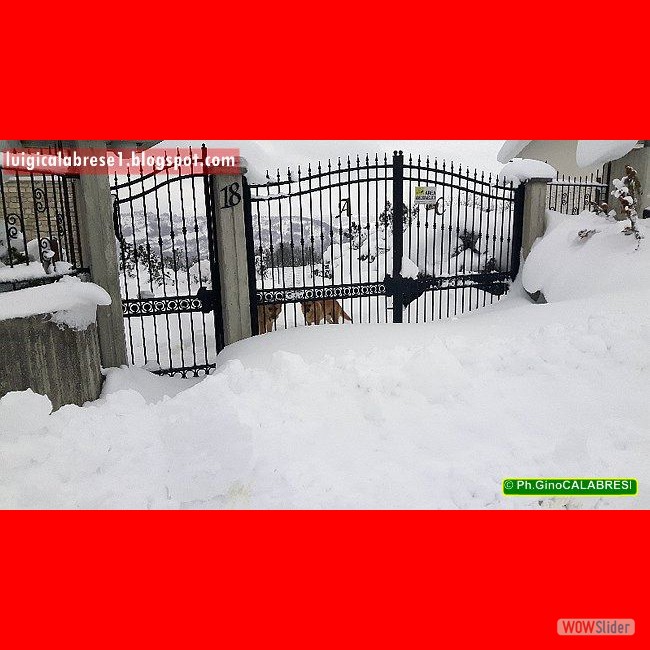 Campobasso, gennaio 2017 (125)