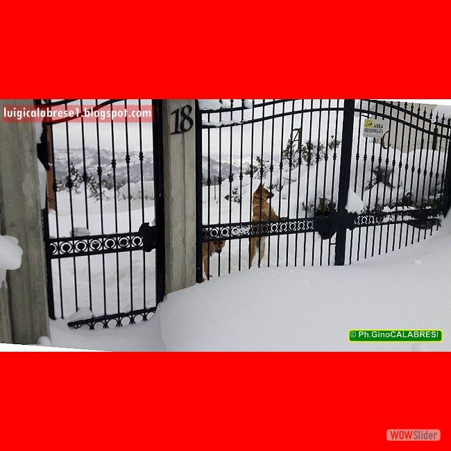 Campobasso, gennaio 2017 (126)