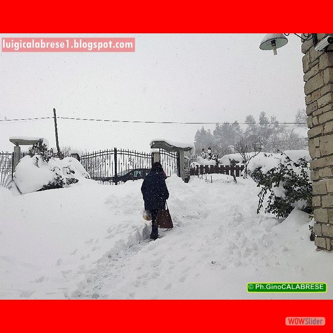 Campobasso, gennaio 2017 (128)