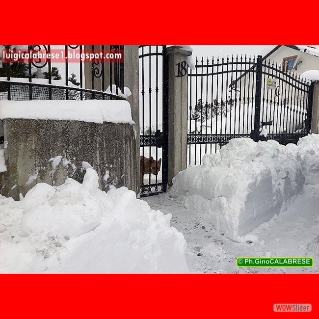 Campobasso, gennaio 2017 (129)