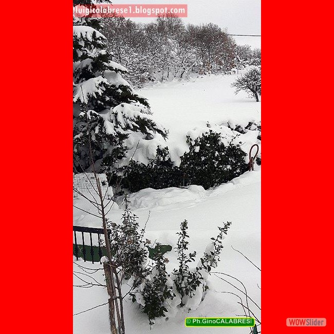 Campobasso, gennaio 2017 (136)