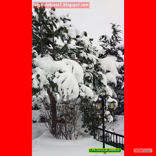 Campobasso, gennaio 2017 (137)