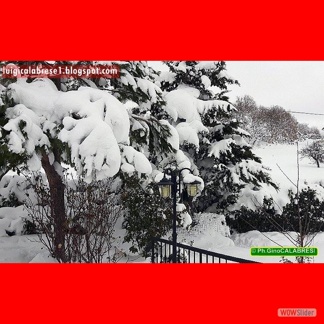 Campobasso, gennaio 2017 (138)