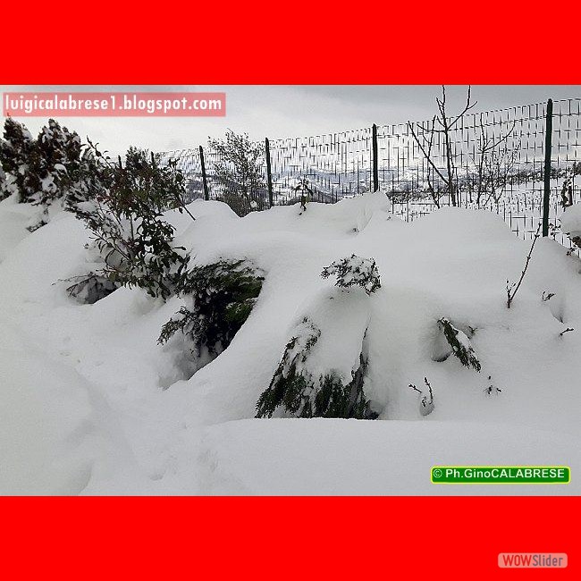 Campobasso, gennaio 2017 (139)