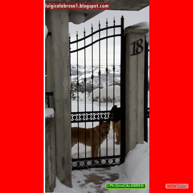 Campobasso, gennaio 2017 (140)