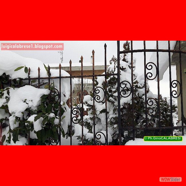 Campobasso, gennaio 2017 (141)