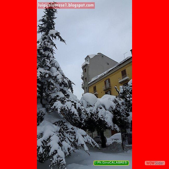 Campobasso, gennaio 2017 (160)