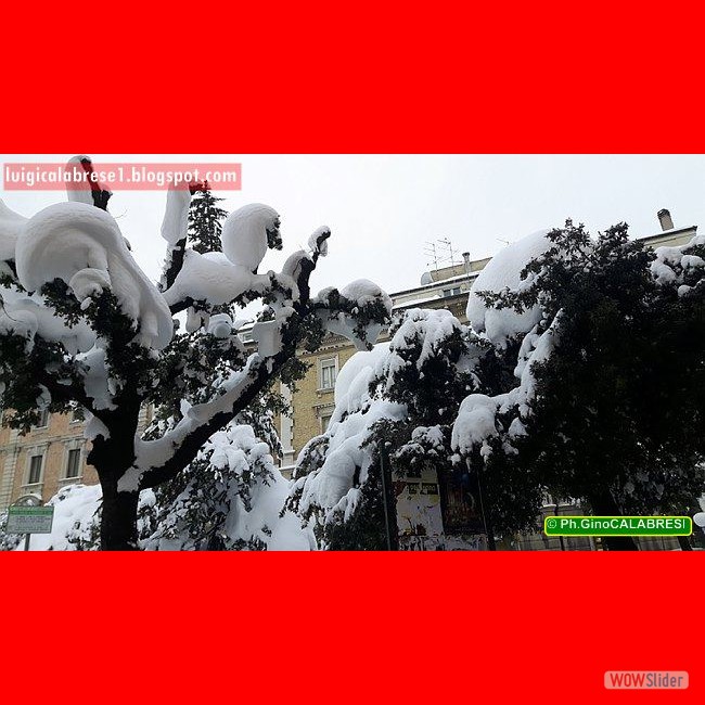 Campobasso, gennaio 2017 (161)