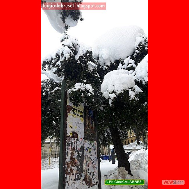 Campobasso, gennaio 2017 (162)