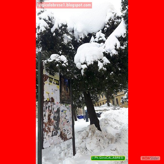 Campobasso, gennaio 2017 (163)